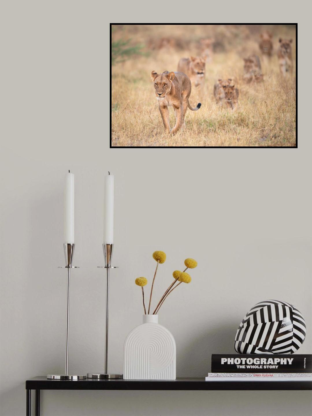 Cats Poster och Canvastavla