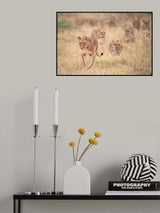 Cats Poster och Canvastavla
