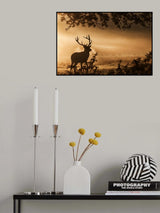 Poster och Canvastavla