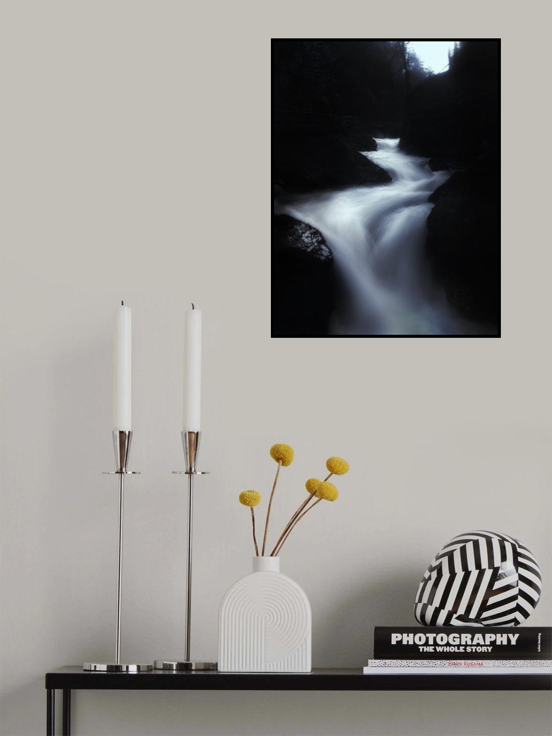 lady river Poster och Canvastavla