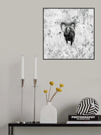 (   ) Poster och Canvastavla
