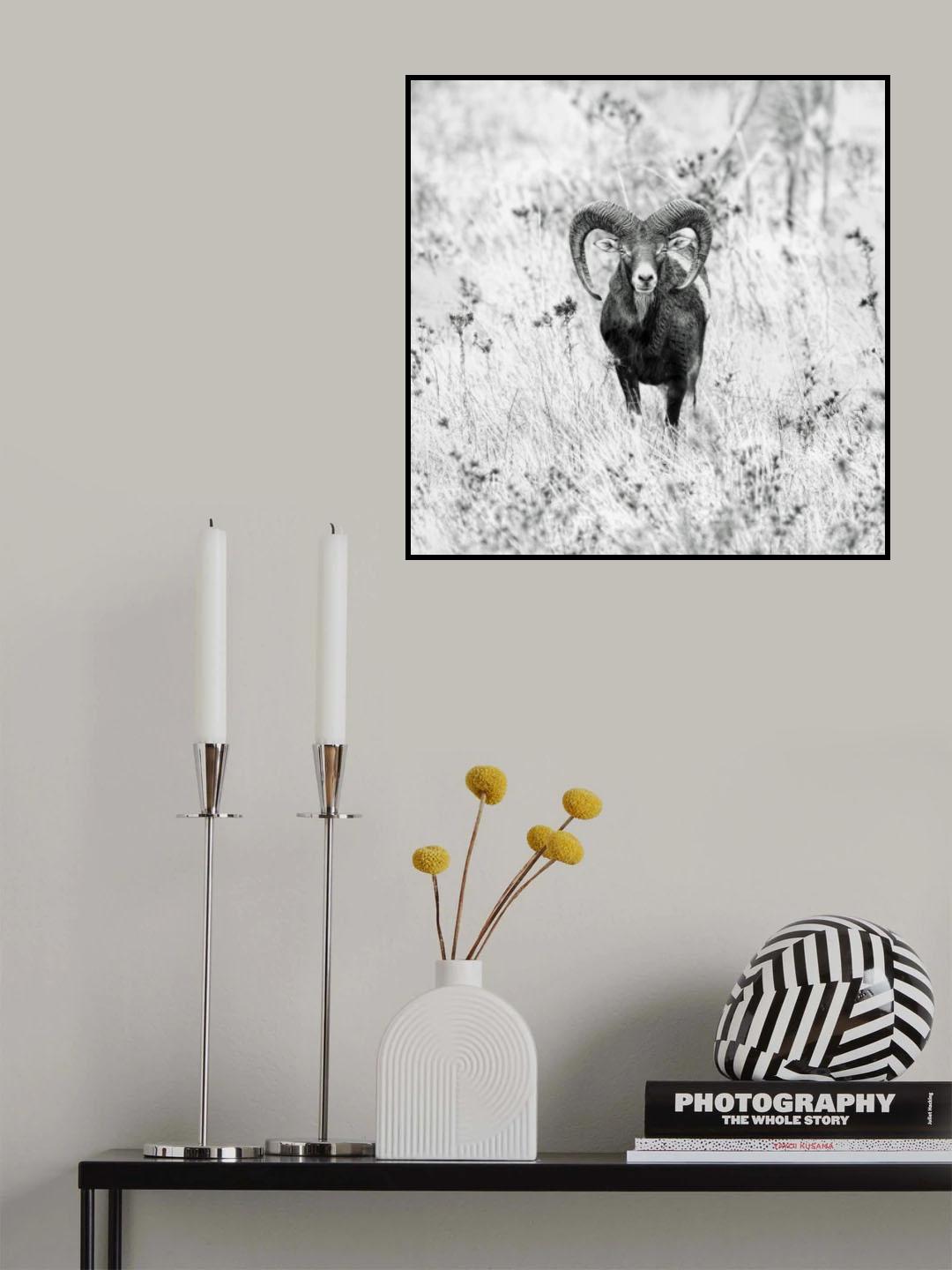 (   ) Poster och Canvastavla