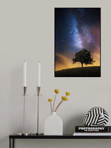 The dreamer's seat Poster och Canvastavla