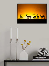 Just a sunset Poster och Canvastavla