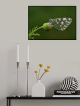 Green_1 Poster och Canvastavla