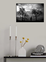 Poster och Canvastavla