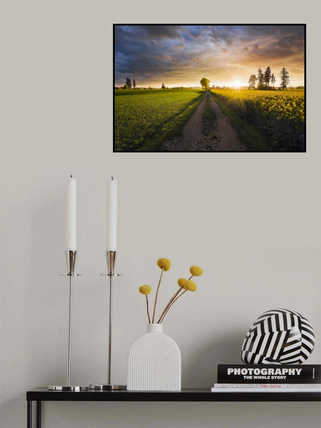 Summer Meadow Poster och Canvastavla