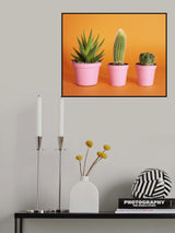 Cactus.2 Poster och Canvastavla