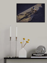 Playing with the golden hour bike Poster och Canvastavla