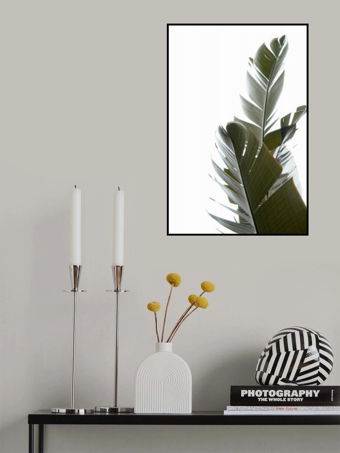 Travellers Palm Leaves Photo 05 Poster och Canvastavla