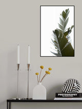 Travellers Palm Leaves Photo 05 Poster och Canvastavla