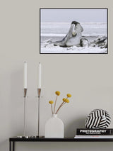 My jungle gym Poster och Canvastavla