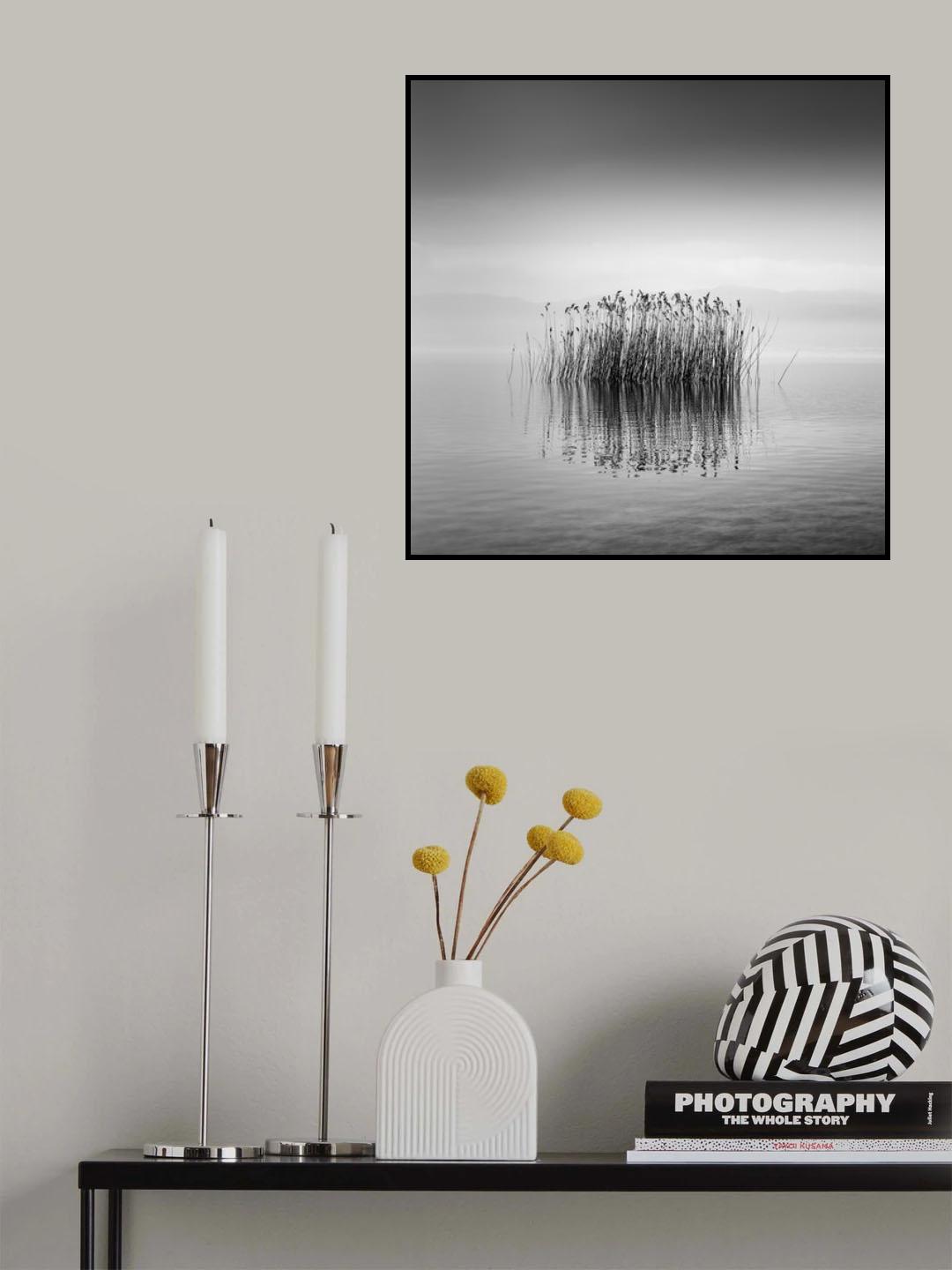 Black and White Silence Poster och Canvastavla