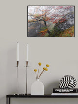 Foggy Woods Poster och Canvastavla