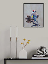 European goldfinch Poster och Canvastavla