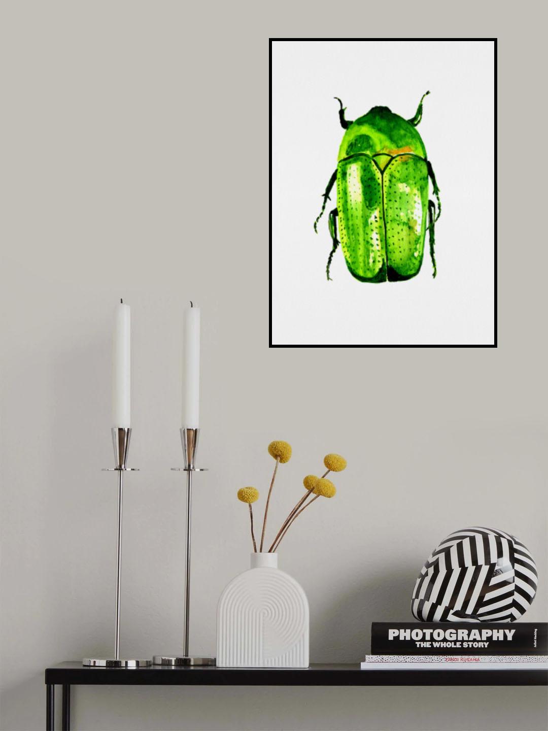 Green June beetle or Cotinis nitida Poster och Canvastavla