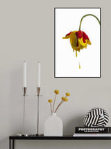 Crying flower Poster och Canvastavla