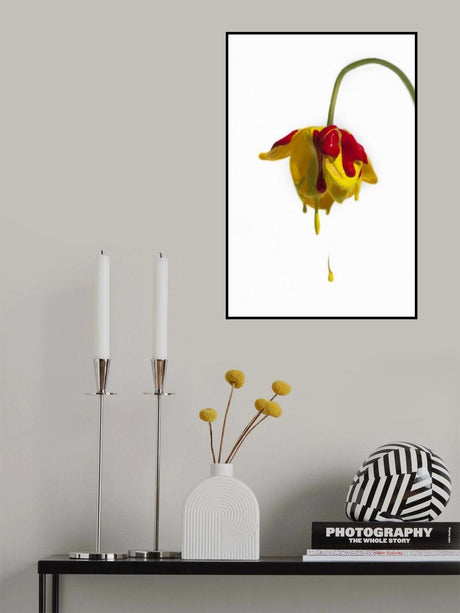 Crying flower Poster och Canvastavla