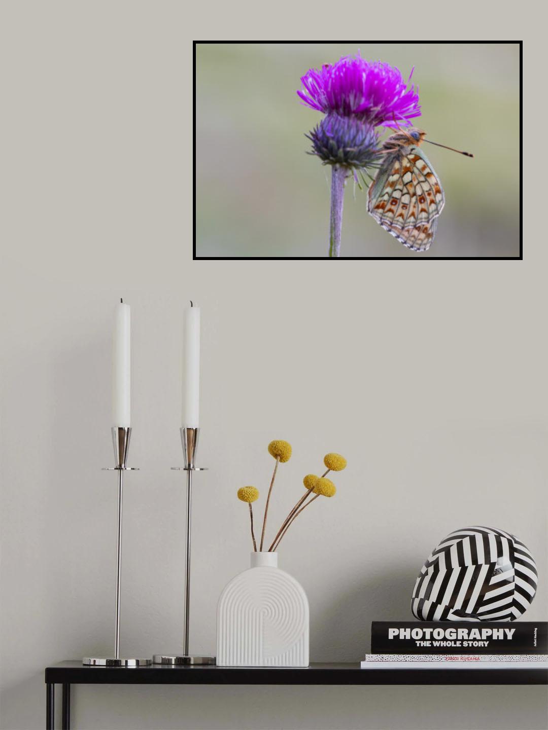 Butterfly world Poster och Canvastavla