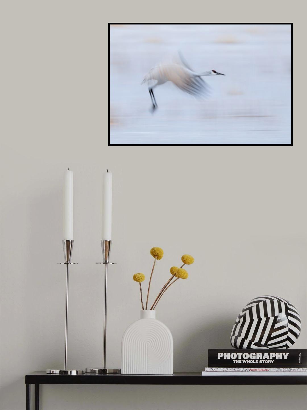 Taking Off Poster och Canvastavla