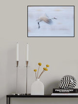 Taking Off Poster och Canvastavla