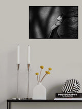 Shadows Poster och Canvastavla