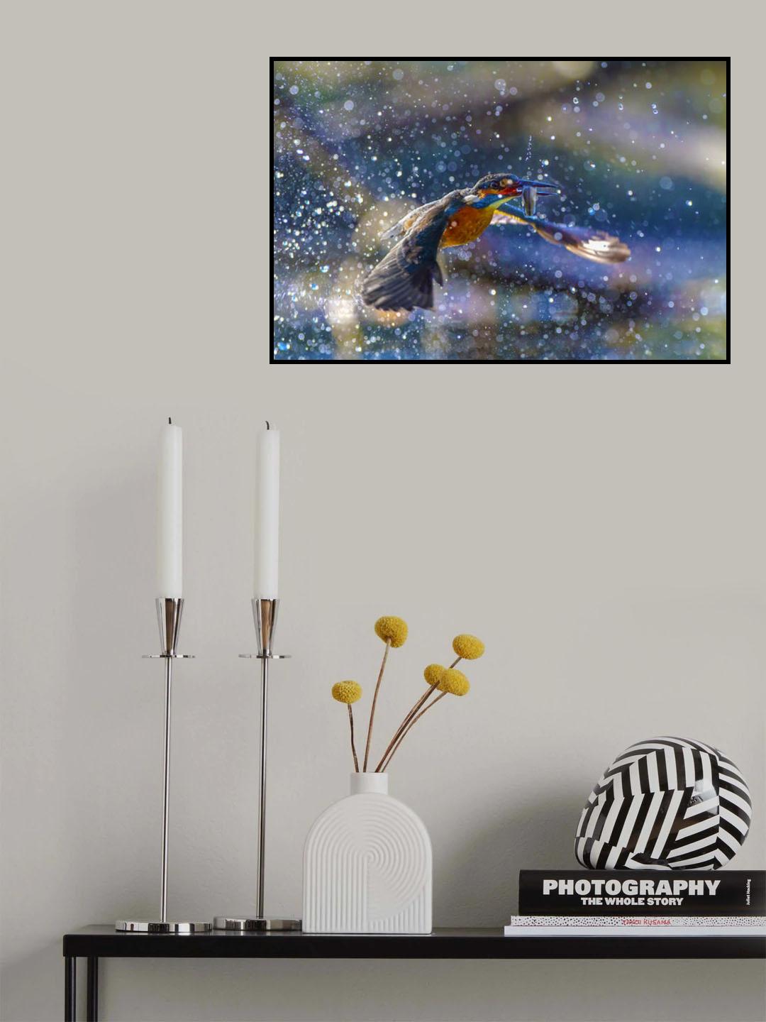 Kingfisher backlight Poster och Canvastavla