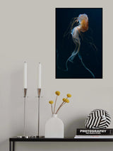 Dancing Queen Poster och Canvastavla