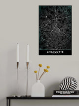 CHARLOTTE Poster och Canvastavla