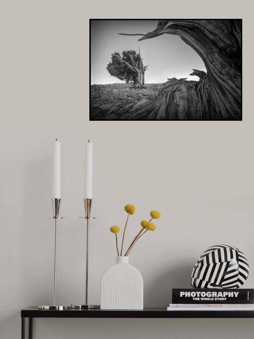 Dead and Living Poster och Canvastavla