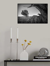Dead and Living Poster och Canvastavla
