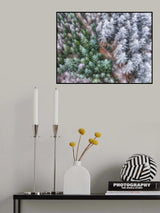 Winter Poster och Canvastavla