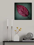 Red leaf Poster och Canvastavla