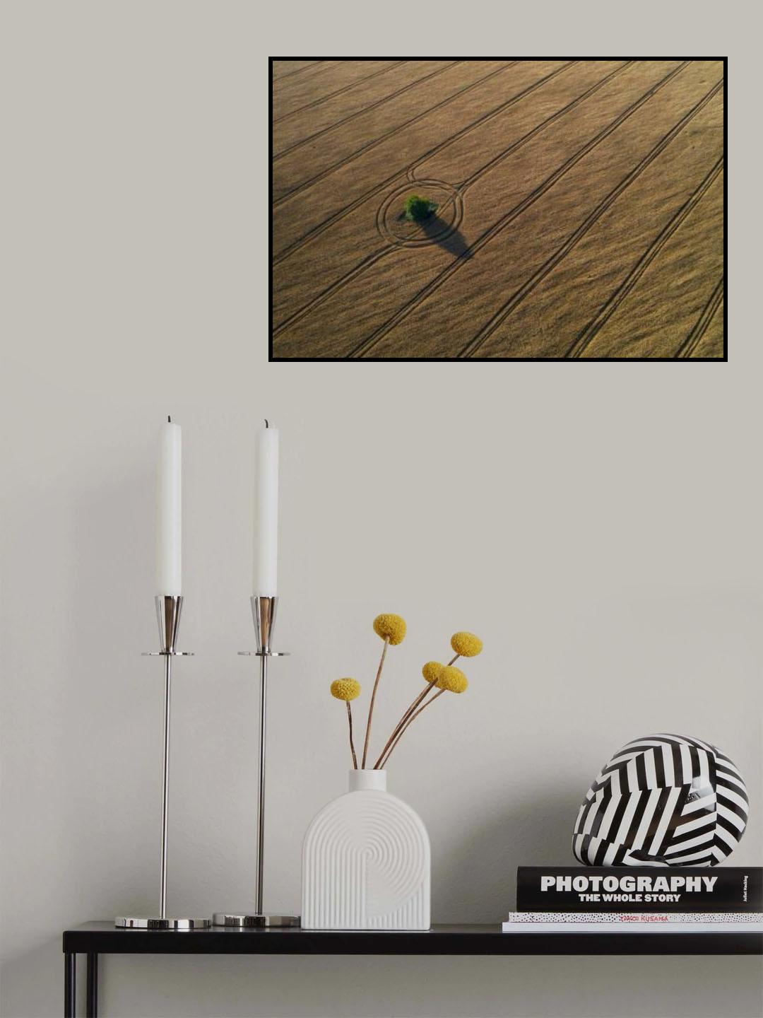 Around the tree Poster och Canvastavla
