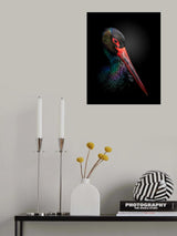 The Black Stork Poster och Canvastavla