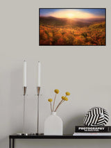 Autumn's Embrace at Sunrise Poster och Canvastavla