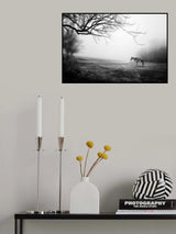 Poster och Canvastavla