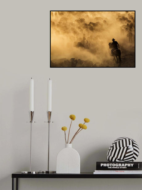 Cappadocia wild horses Poster och Canvastavla