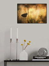 Sunny day Poster och Canvastavla