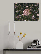 Palm City Poster och Canvastavla