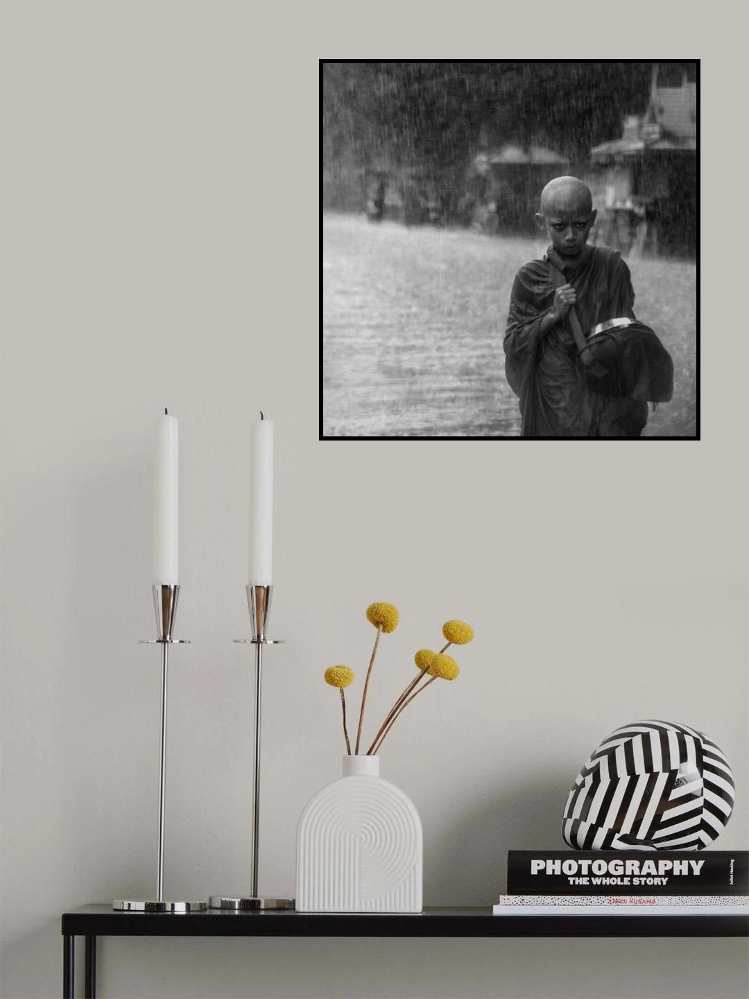 In the morning rain Poster och Canvastavla