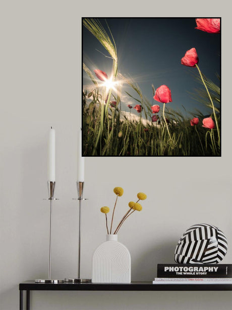 Summer is Here Poster och Canvastavla