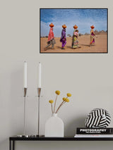 Homeward Bound Poster och Canvastavla