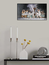 Dangjin World Art Circus Poster och Canvastavla