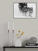 Sleddog fun Poster och Canvastavla