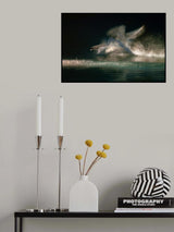 Landing Poster och Canvastavla