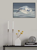 Got It! Poster och Canvastavla