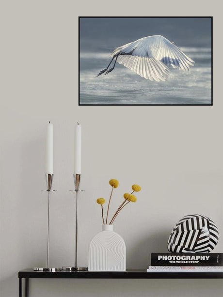 Got It! Poster och Canvastavla