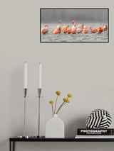 pink Poster och Canvastavla