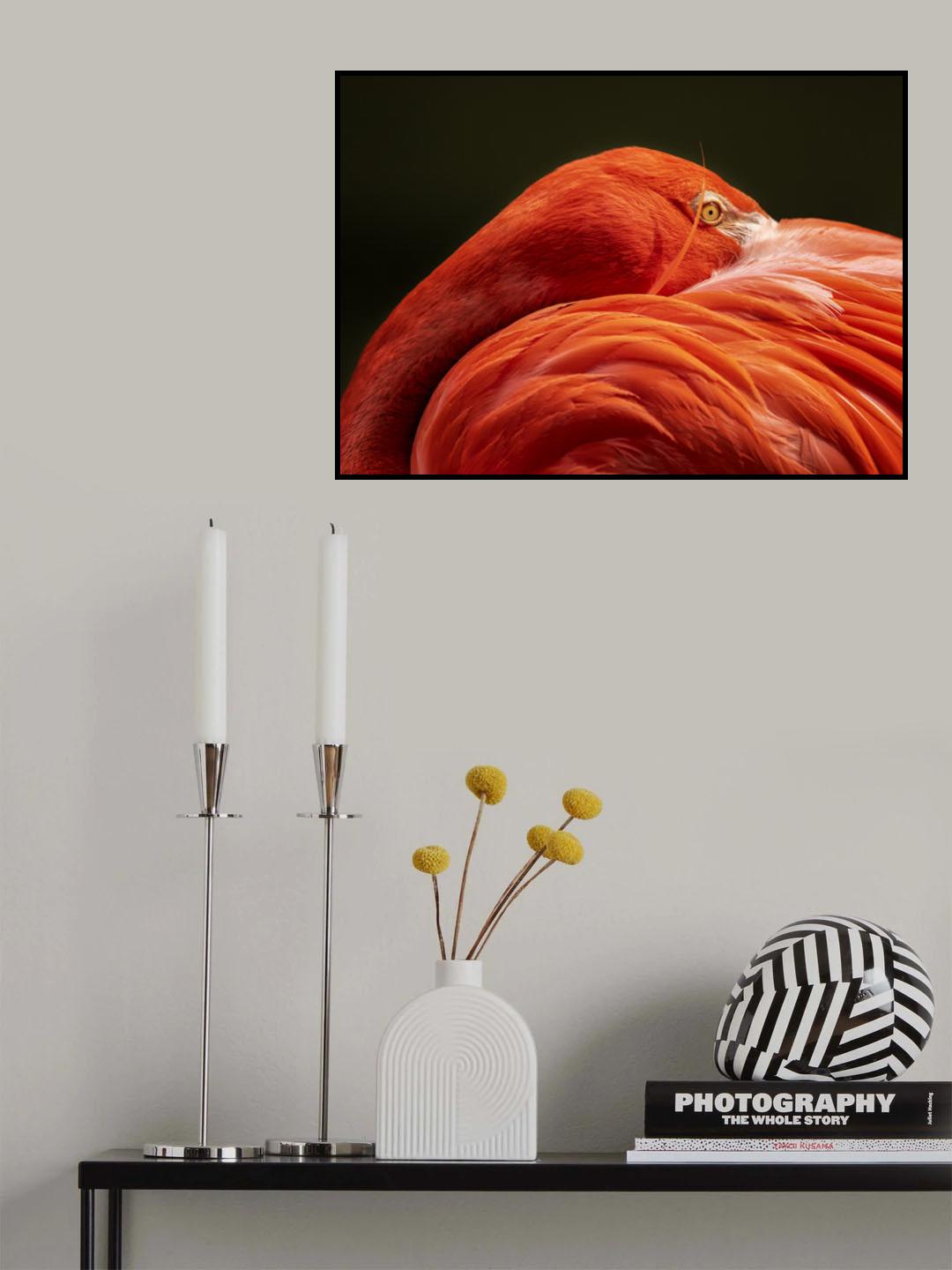 Quietly observe Poster och Canvastavla